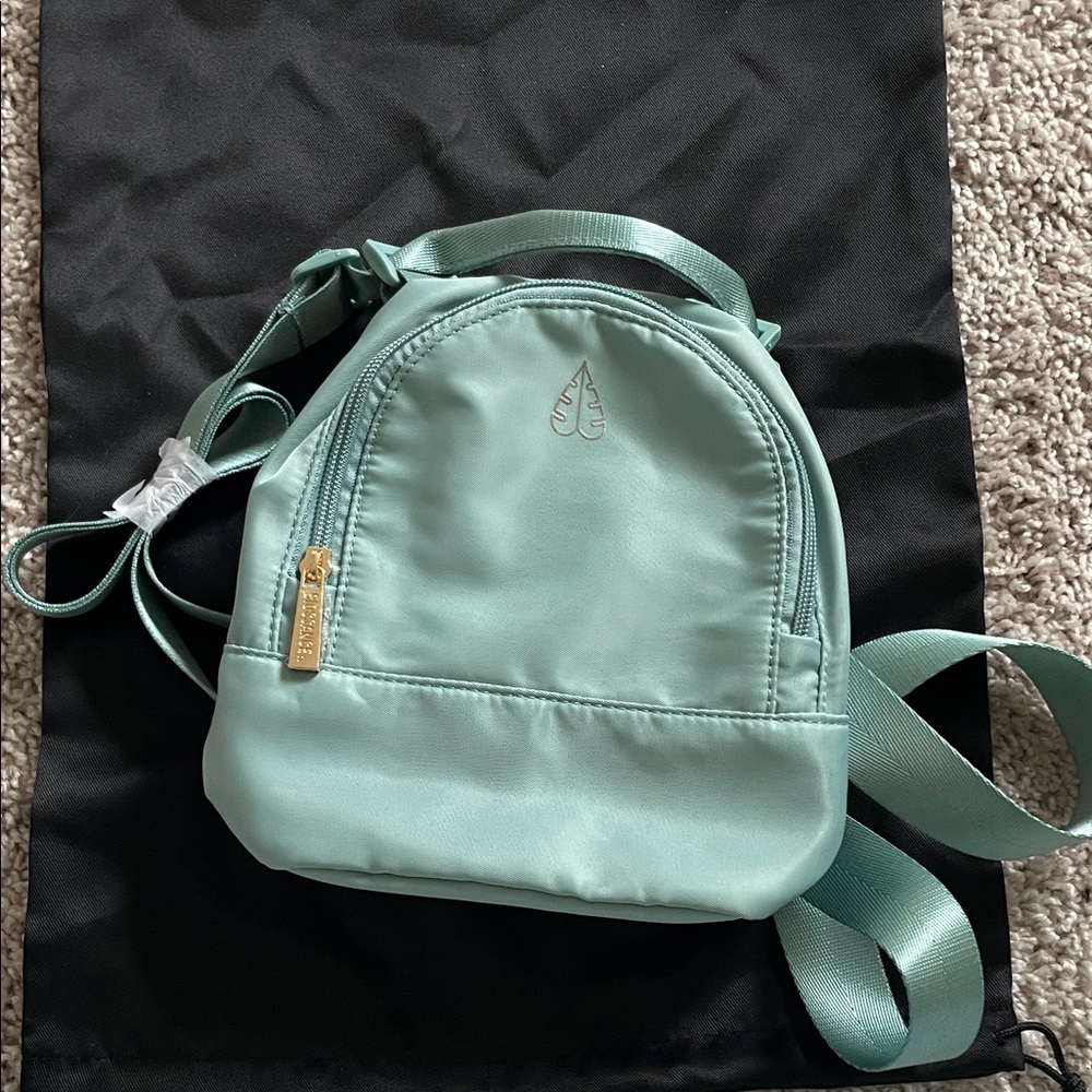 biossance squalane Mint Green Mini Backpack carry on bag for makeup